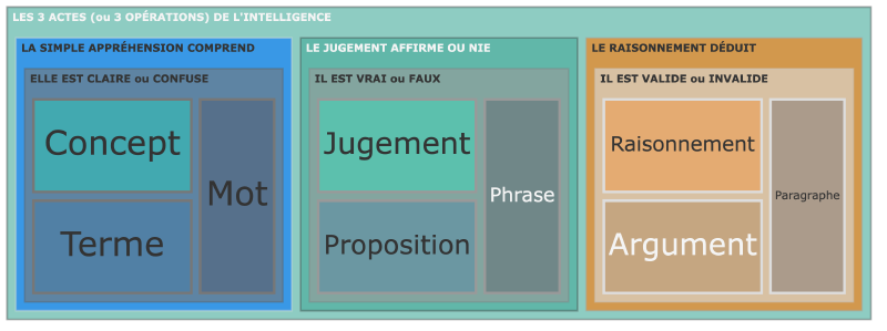 3 opérations de l’intelligence